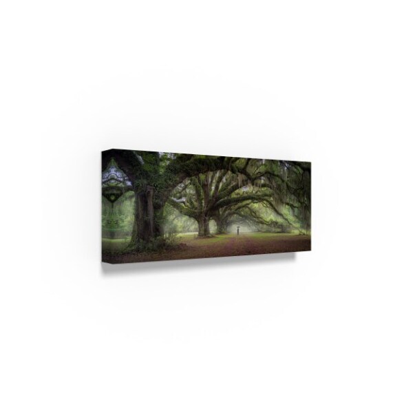 Moises Levy 'Walking On The Trees Avenue' Canvas Art,14x32